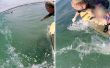 Construir un polo de GoPro Surf