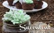 Cupcakes de terrario suculenta comestible! 