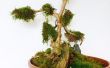 Faux bonsais con musgo (menores de 3$ y libre de mantenimiento)