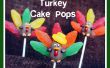 Turquía Cake Pops