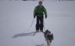 Cómo día de esquí con su perro