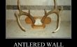 Ciervos de whitetail Astado montaje en pared
