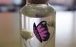Púrpura mariposa collar de botella