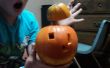 El proyecto calabaza