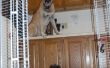 Recinto de la perrera: Armario estantería de alambre y Cable lazos en minutos, flexibles, móviles, desmontables