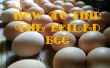 Cómo encontrar el huevo