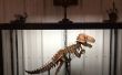 Alambre atado esqueletos de dinosaurio de Metal de hoja