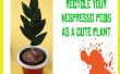 Planta en maceta Nespresso Pod