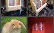 Bunny conejo hidratación estación hecha de madera