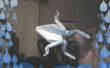 Rana de origami