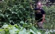 Enrejado de jardinería vertical para tomates o squash
