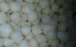 Kewra queso azúcar balls(chainamurgi)