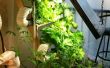 Granja hidropónica Vertical final baratos... Cultivos verdes lejos de regalo! 