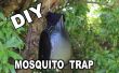 Cómo hacer un Ovitrap Mosquito trampa
