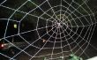 Spiderweb Halloween