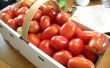 Conservas tomates = verano lo largo del año! 