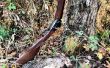 Tiro pistola cáscara cohete