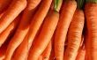 Cómo cultivar zanahorias en interiores