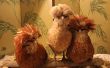 Los piojos de las aves de corral - ¿qué, por qué, quién, Cuándo y dónde? Tratamiento con aceites, prevención con dieta. Los pollos orgánicos