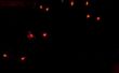 Super escalofriante mal LED ojos de Doom usando atTiny85 y Arduino IDE