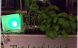 Hojas de luz: Un Monitor de jardín de interior