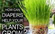 Los pañales ayuda que crecen tus plantas! 