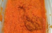 Relucen Belice zanahoria salsa Habenero