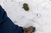 Raquetas de nieve de ikea man´s pobre