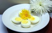 Resolución de problemas y consejos para huevos