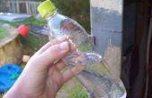 Cohetes de botella de agua simple