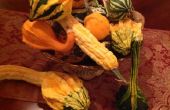 Cultivo de calabazas de otoño en ninguÌ n coste
