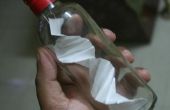 ADN en una botella