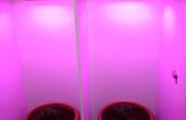 Crecer alto luz plantas en interiores sin hidroponía