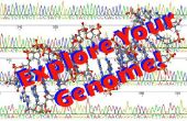 Explorar el genoma! 
