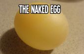 El huevo desnudo: Hacer un huevo ordinario tambaleante, animoso y blando utilizando el método científico! 