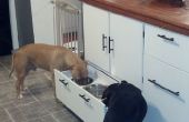 Barra de cocina superior de roble con cajón alimentador de mascotas y el rodillo hacia fuera papelera