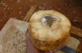 Cómo cortar abrir un coco