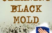 Limpieza baño Mold(black Mold)