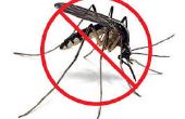 Mosquitos de protección exterior contra