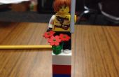 Instrucciones proyecto LEGO
