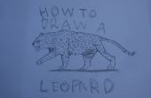 Dibujar un leopardo