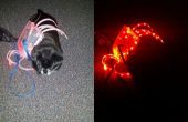 Decoración de araña LED o traje del perro