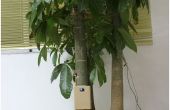 Arduino casero elegante árbol medio ambiente