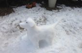 Cómo hacer un perro de nieve escultura