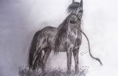 Mi dibujo de caballo