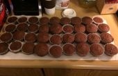 Cómo hacer fácil Chocolate Chocolate Chip Cupcakes