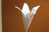 Origami: Flor de Lily tulipán