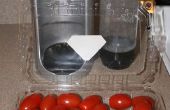 Carbonatación de tomates