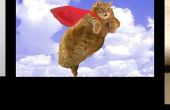 Enseñar a su gato a volar!!!!!! 