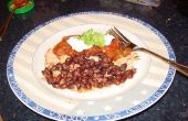 NO descongelar lento cocina mexicana pechugas de pollo con variaciones